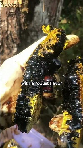 Why Black Honey Is the Ultimate Superfood for Your Pantry