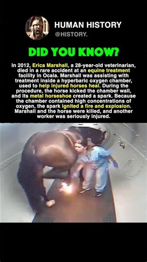 The Metal Horseshoe Made The Oxygen EXPLODE #history #facts