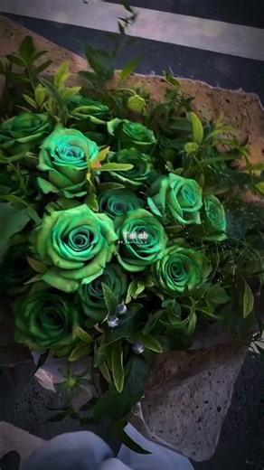 "💖Mai Teri Mausaki" | Janam Janam | Arijit Singh | Dilwale | Heart Touching.