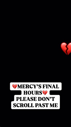💔 MERCY IS RUNNING OUT OF TIME — HER HEARTBREAKING STORY DESERVES TO BE HEARD 💔 Mercy once had a home… a person who loved her… a life that felt safe. But everything changed the day her owner passed away. No one in the family stepped forward. No one came for her. No one even looked for her. Mercy wandered the streets alone — scared, starving, and grieving a loss she didn’t understand. Days turned into weeks. Her body weakened. Her ribs showed. She searched for food in the cold. By the time she 