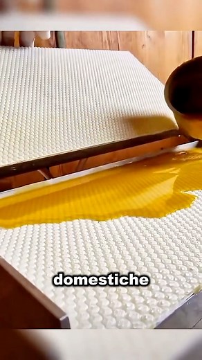 Come l’apicoltore aiuta le api a costruire l’alveare #fblifestyle #animali #apicoltura #API #miele | Animali Edition