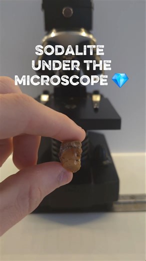 Microscopic observation of a sodalite #microscope #science #experiment