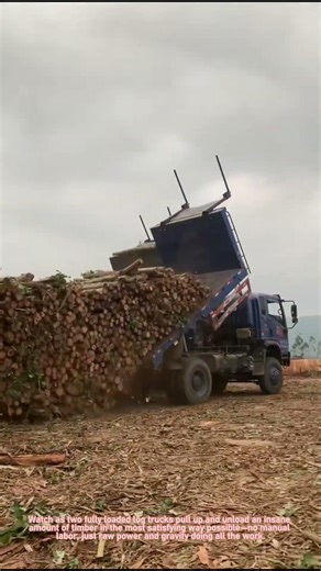 Massive Log Truck Unload: 2 Trucks Dump Tons of Timber in Seconds!