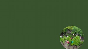 Gearing Up for World Mangrove Day 2025! Mangroves — nature’s frontline defenders, serve as carbon sinks, biodiversity hotspots, breeding grounds for fish, protectors against coastal erosion, and buffers against climate change. They are crucial for environmental balance and community resilience. On 26th July 2025, all roads will lead to Tsunza, where the community stands as a living demonstration of how #mangroves have revived livelihoods after the decline in fish capture. For the fisherfolk of T