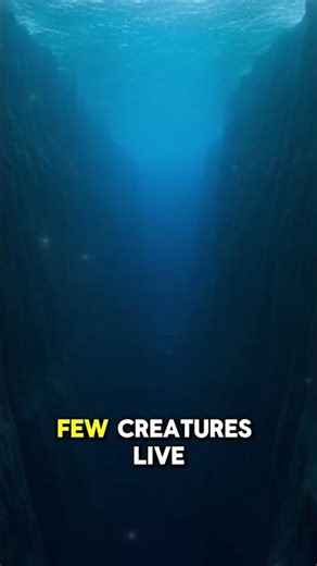 The Deepest Places on Earth Hidden in Ocean Trenches 🌍
