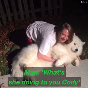 This huge dog does not want to go inside 😂 🐶 | Daily Mail Video