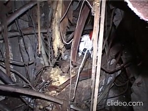 194K views · 3.8K reactions | Chernobyl Nuclear Power Plant, trip to the "Sarcophagus," February 2009 Central hall and RZM control room, recreated in full detail, with the original sounds preserved as much as possible. Александр Купный Camera operator : Sergey Koshelev | Chernobyl Чернобыльской | Facebook