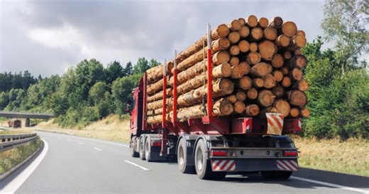 Investor Outlook: Doman CEO says supply shortages help offset lumber price weakness