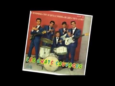 Les Chats Sauvages - Oh lady ( 1962) Stéréo