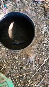 Where’s my sprinkler main shutoff valve?! Found it! #Gardening #homeimprovement