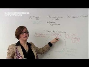 Klonierung von DNA - Abiturwissen Biologie