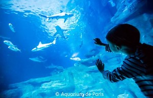 Aquarium de Paris ᐅ Tarifs Promo Billets Horaires 2026 Adresse