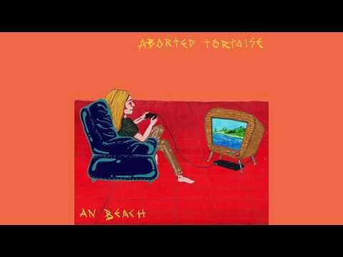 ABORTED TORTOISE - An Beach