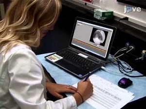 Fluoroscopic Swallow Study Methods to Detect and Characterize Dysphagia in Murine Disease Models