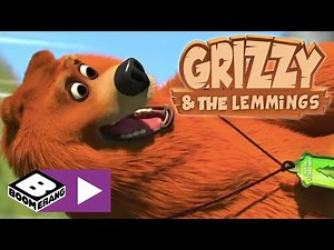 Grizzy - The Bear