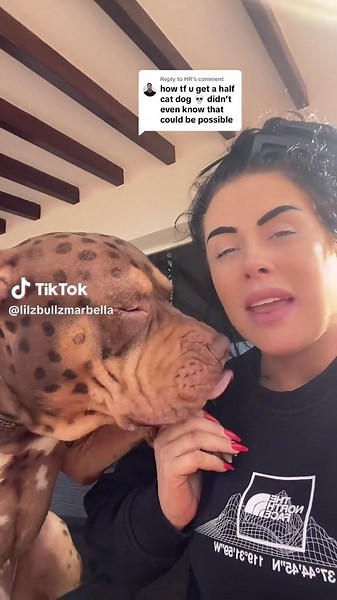 Exploring Temperature Trends in Marbella