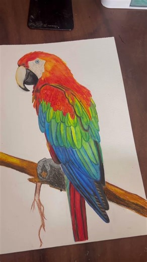 Macaw painting# parrot watercolour painting# colourful parrot