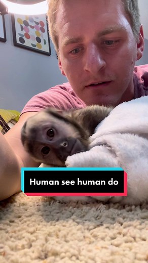 Monkey See, Monkey Do: A Fascinating Interaction Between Humans and Primates