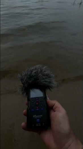I use the Zoom H4 Essential for my field recording #fieldrecording #naturesounds #nature #watersound
