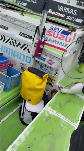 ギャル船長が絶叫！ 巨大フグが釣り上げられる決定的瞬間 #釣り #釣りガール #絶叫