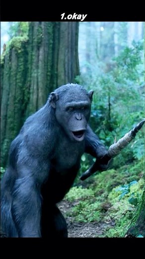 #movie #film Caesar’s Heartbreaking Reaction 😭💔 | Wrong Ape Killed by Mistake – "Dawn of the