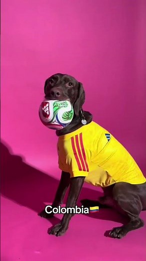 just some good boiiiiiiis ready for the FIFA World Cup 😍🐾 #adidas #football #worldcup