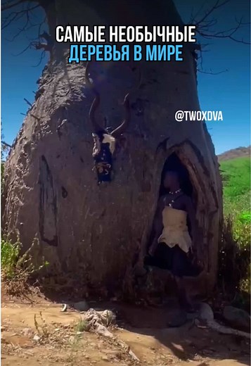 ДВАЖДЫ ДВА on TikTok