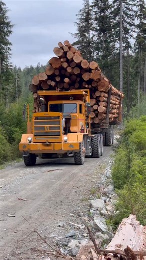 254 reactions · 8 comments | Without this guy the entire camp would fall apart! He was my guide during my time at the logging camp, introducing me to all the people I’ve talked to over the past few videos, and he’s awesome #jobs #forestry #britishcolumbia | BC Bob | Facebook