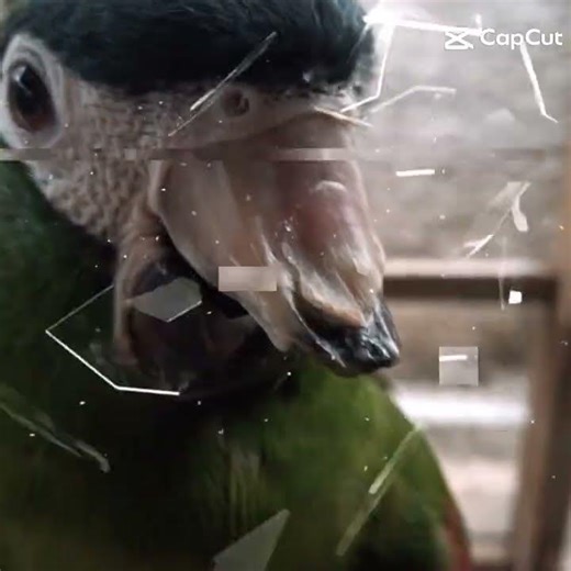 23 de março de 2026