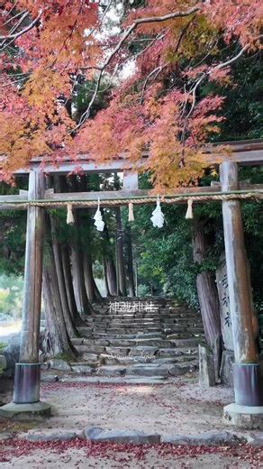 神魂（かもす）神社は、島根県松江市にある古社で、現存する日本最古の「大社造（たいしゃづくり）」の建築物として国宝に指定されていることで知られています。地元では「神魂（かもす）さん」や「大庭の大宮（おおばのおおみや）さん」とも呼ばれています。 #神魂神社 #国宝 #夫婦神 #島根 #神秘的