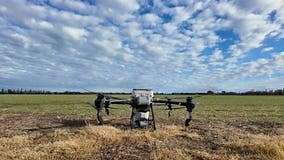Agricultural Drone Takes Off To Fertilize Fields. Efficient Applications Stock Video - Video of chemicals, remote: 387676857