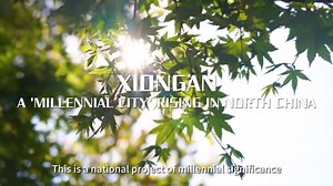 With global visions, international standards, Chinese characteristics, and future-oriented goals, Xiongan has presented its vigorous development potential over the past five years. Xiongan will pursue quality development in the ecological, economic and cultural fields, so as to build an immortal "Millennial #City". | China News 中国新闻网 | Facebook