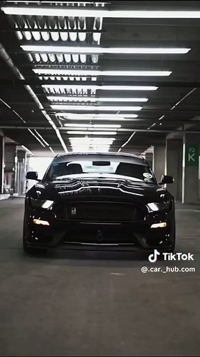 Ford Mustang 5.0 V8: The Ultimate Muscle Car | Top Speed 265 kph