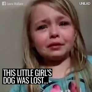 This little girl's tearful appeal for her missing dog ended in the best way 🐶🙌 | UNILAD