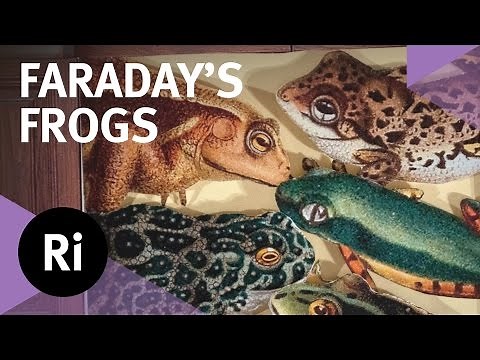 Michael Faraday's Electric Frogs