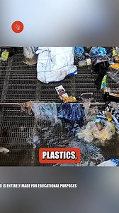 River Cleaning Robots autonomously collect waste, monitor water quality, and restore rivers efficiently, reducing pollution, manual labor, and protecting ecosystems with smart, solar-powered technology. #RiverCleaning #WaterPollution #EcoTech #SmartRobots #CleanRivers #SustainableTech #IoT #SolarPowered #EnvironmentalProtection #WasteManagement #AutonomousRobots #GreenInnovation #WaterQuality #PollutionSolution #FutureTech | Viral Fun