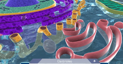 Download and run Cell World on PC & Mac (Emulator)