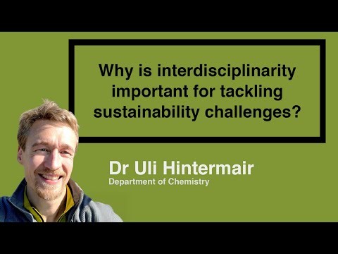 Why is interdisciplinarity so important for tackling sustainability challenges?