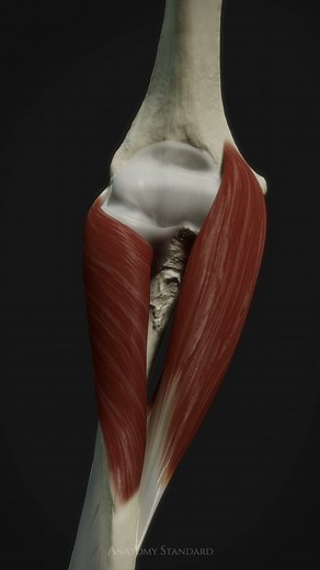 256K views · 8.3K reactions | We've created another animation on the...