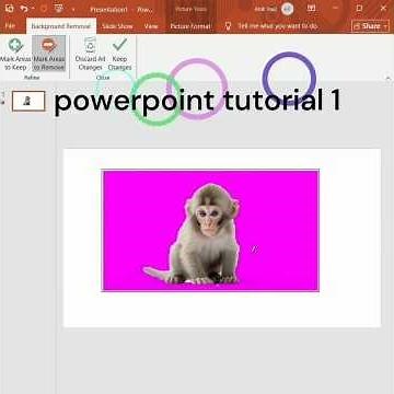 how to remove image background in powerpoint #powerpoint