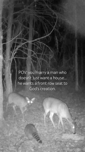 POV: Self Building Our Dream Home in the Woods So He Can Watch Wildlife with His Morning Coffee