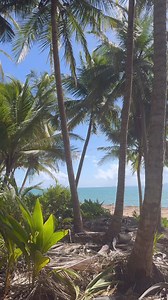 117 reactions · 12 comments | La Reserva Natural de Humacao. #playa #puertorico #playasdepuertorico #beaches #beach | Joseph Buscemi | Facebook