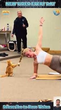 Real moments between humans and animals that amazed everyone!