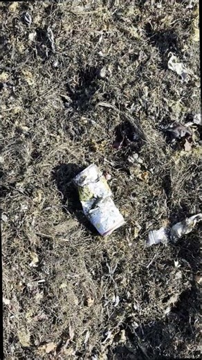 11/28/25 depth of the wrack along with the embedded man-made materials.