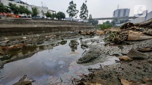 Kondisi Terkini Sungai di Indonesia, Identifikasi Sumber Pencemar Jadi Kunci Perbaiki Kualitas Air