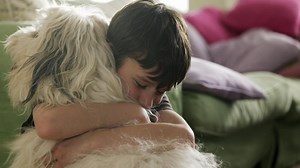 How to cope if your pet dies