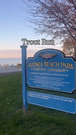 1.5K views · 2.3K reactions | This happens every fall in Fairview,...