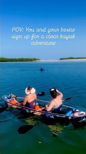 Sunny skies and dolphin fins! 🐬 #beach #dolphin #guidedtour