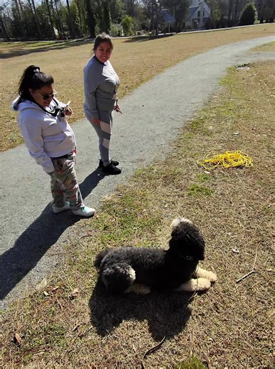 Something I want you guys to understand as a handler — especially with dogs that struggle with confidence or people getting in their space — it is our job to protect them. If a dog is nervous and someone rushes up to pet them, that can actually create a setback. Now every time someone approaches, the dog thinks, ‘I have to handle this myself.’ And that’s when you see panic, barking, or reactivity. So what I did here with Willow was politely advocate for her. I told the person no pets right now, 