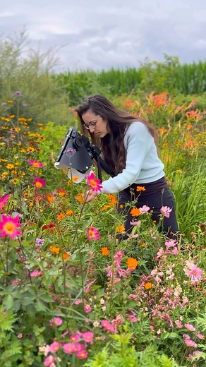 78K views · 2.9K reactions | Bed Head  To prepare for an early...